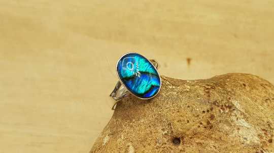 Teal Abalone ring