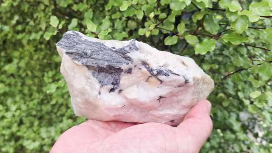 Large Tourmalinated Quartz Specimen