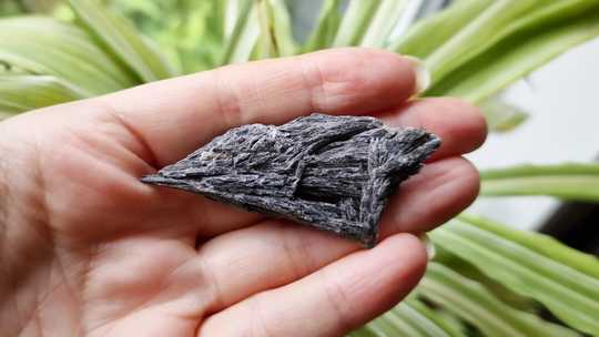 Black Kyanite Specimen
