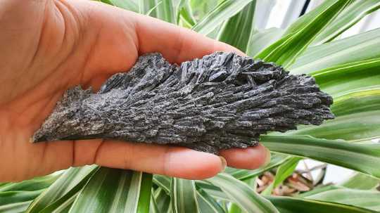 Large Raw Black Kyanite Specimen